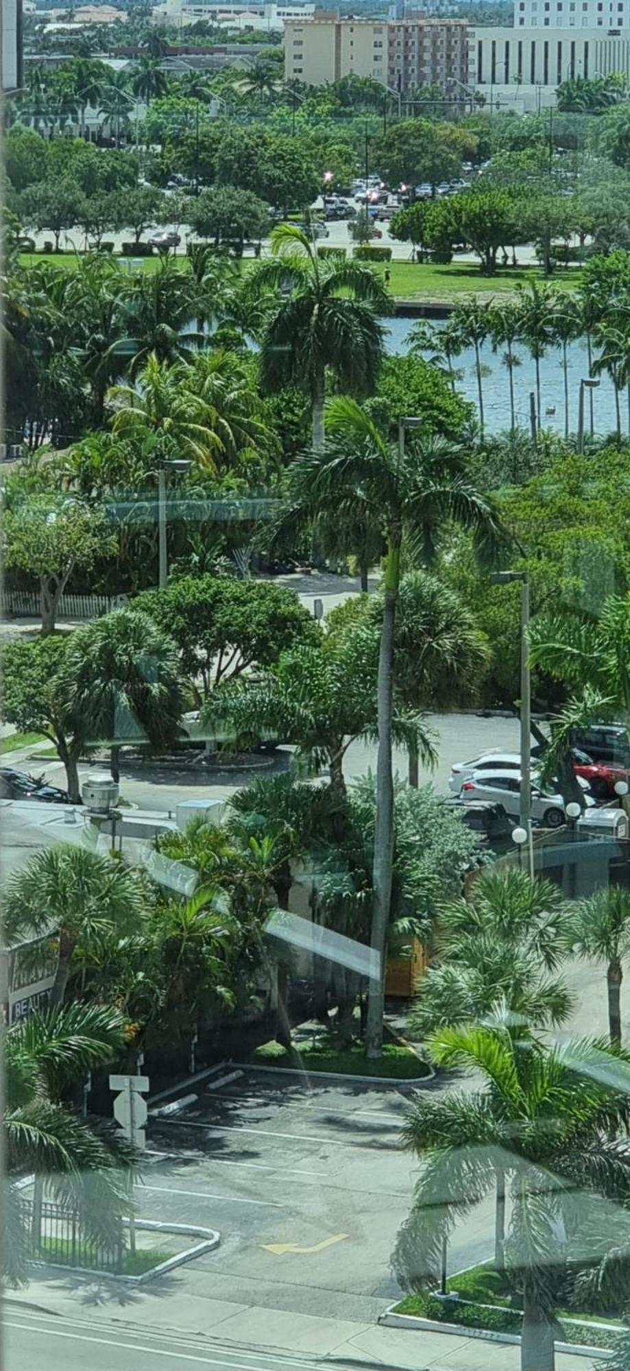 New Luxury Apartment 2Br 2Ba Direct Beach Access Hollywood Exteriér fotografie